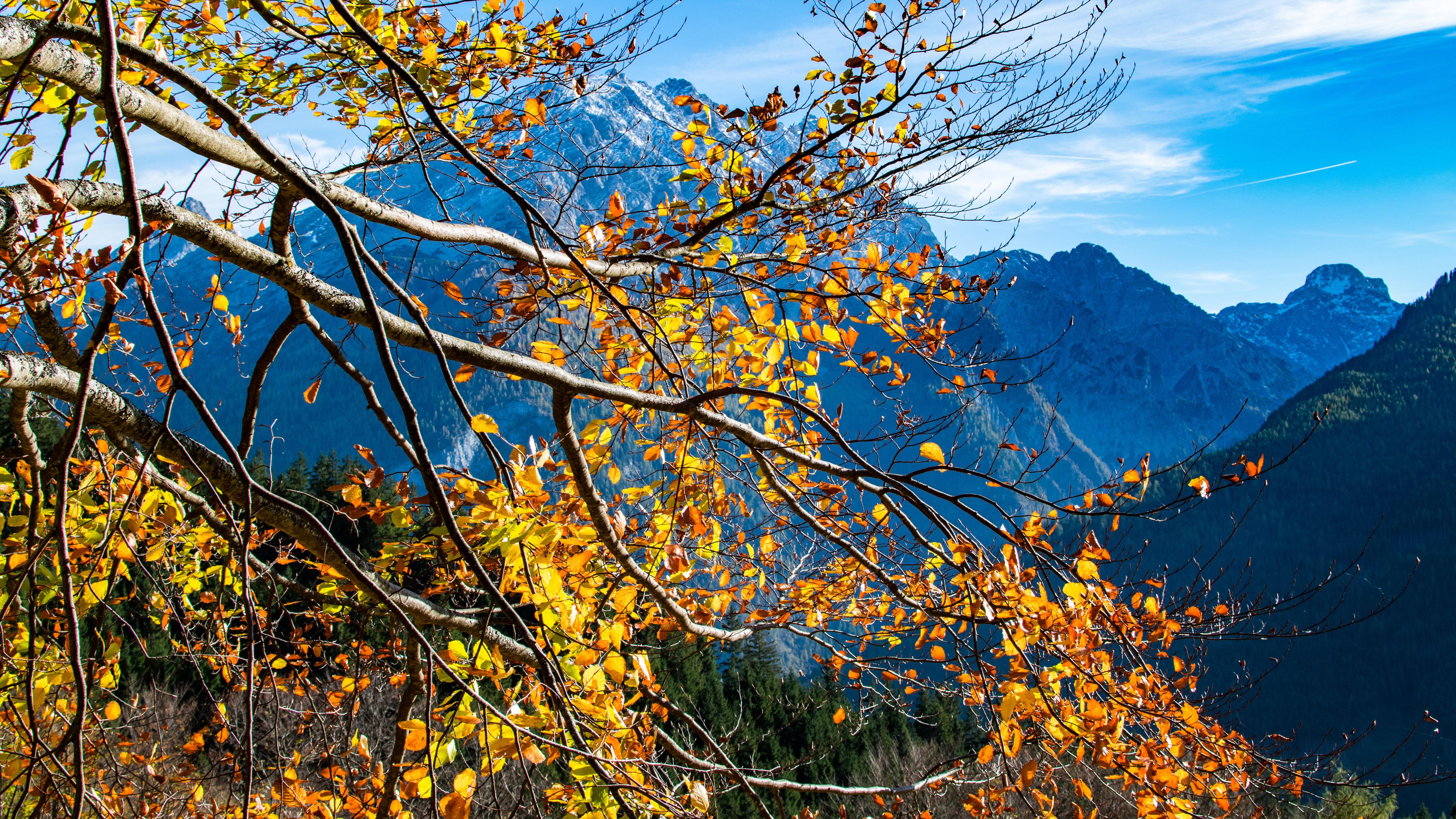 20171026 144137 DSC 5439