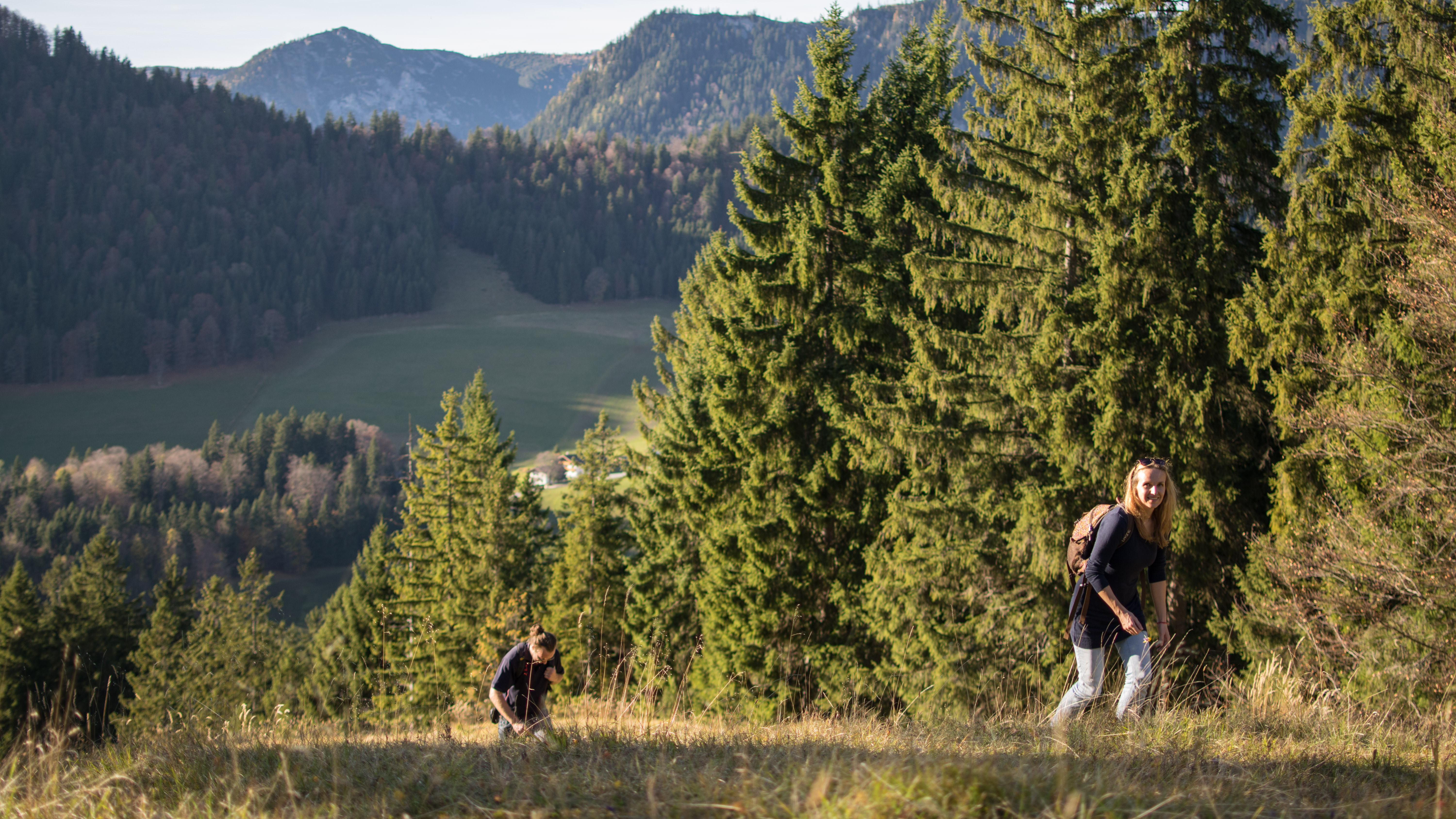 20171026 150402 DSC 5456