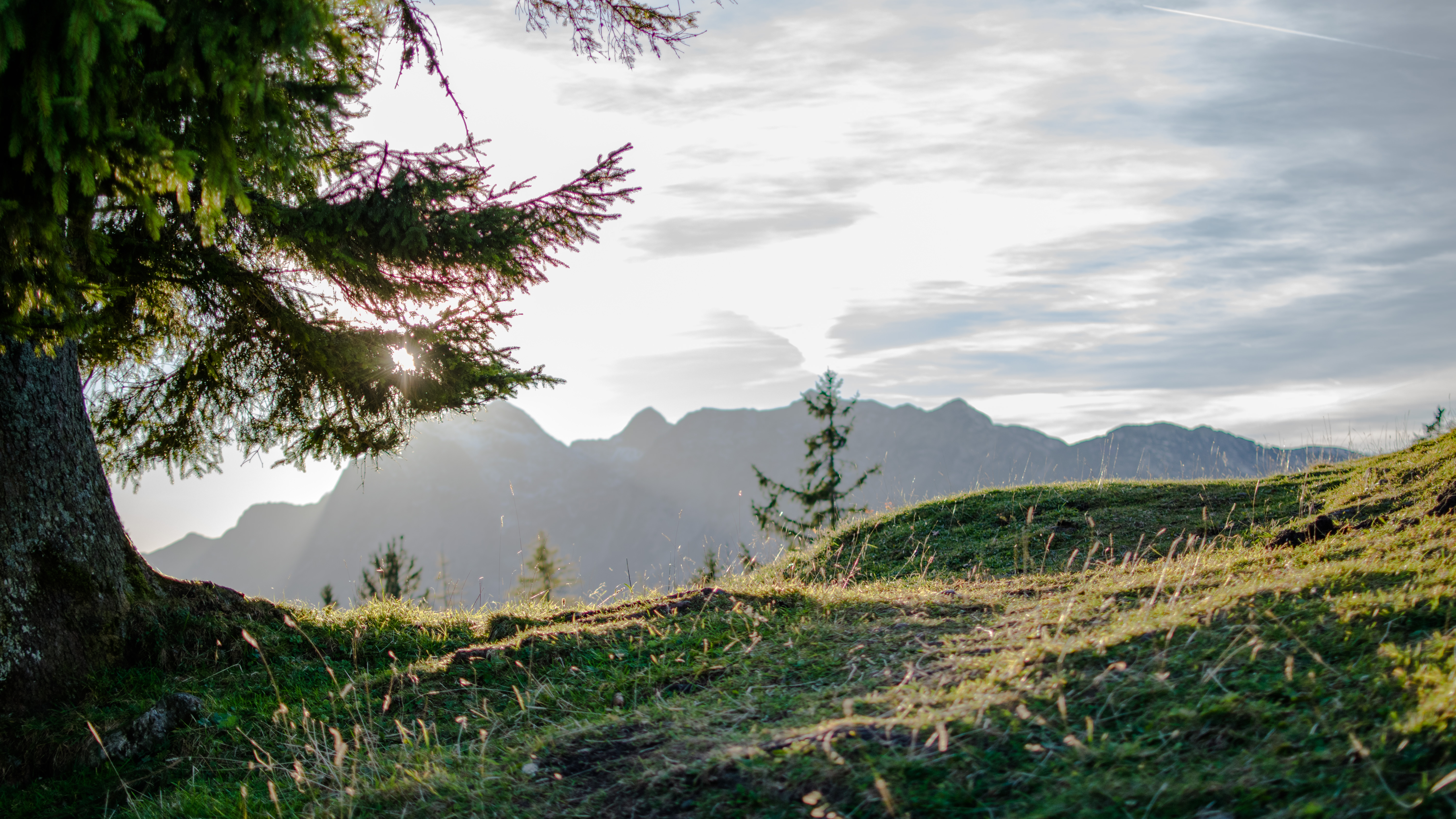 20171026 161756 DSC 5495