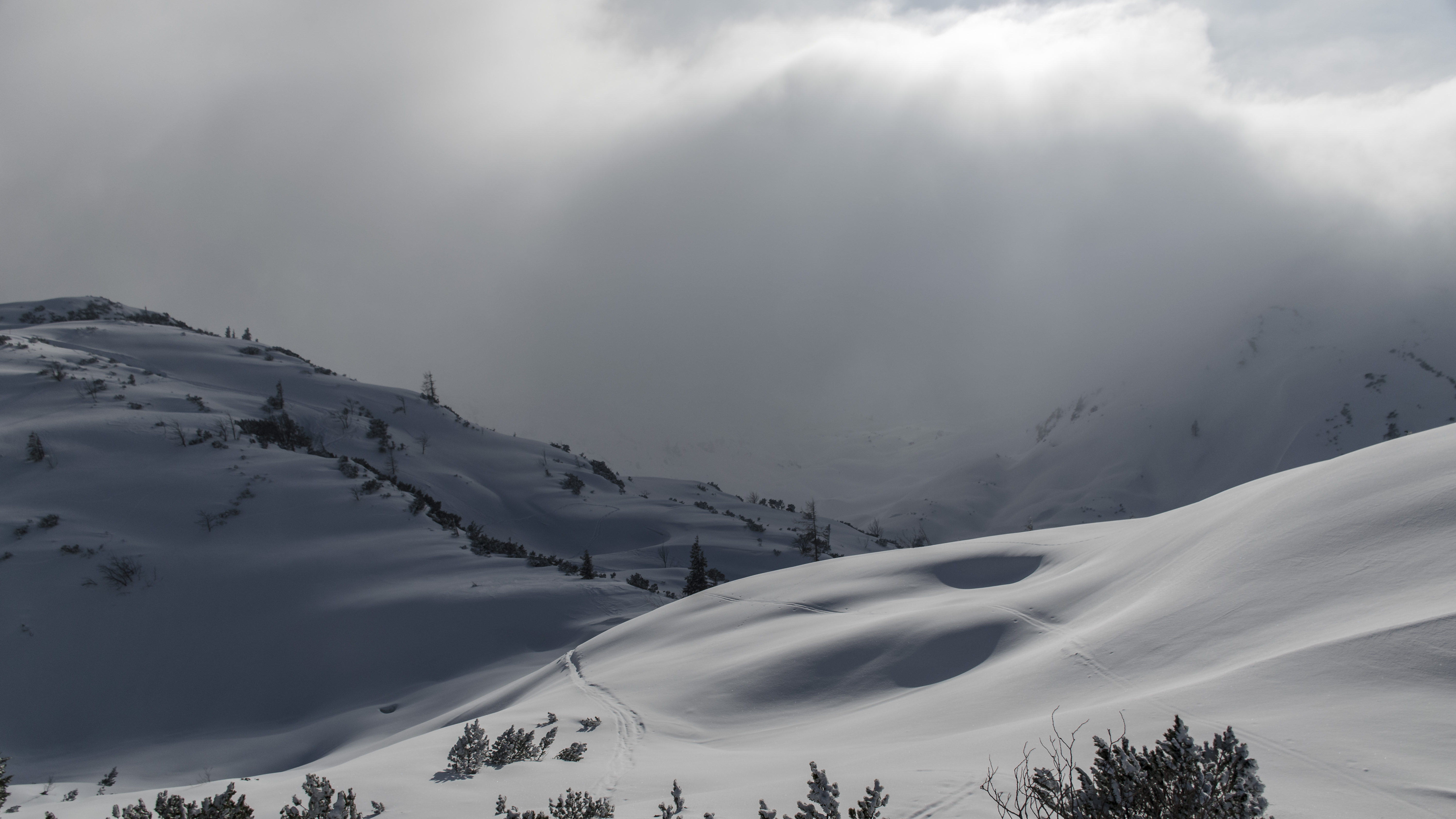 20180224 150143  DSC6118