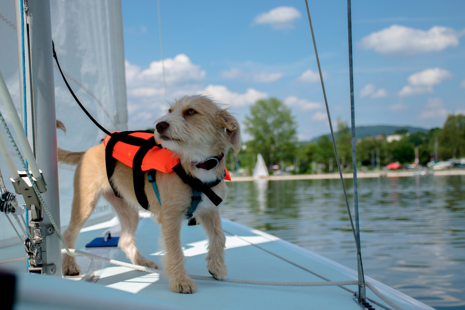 20170603 DSC 2647segeln